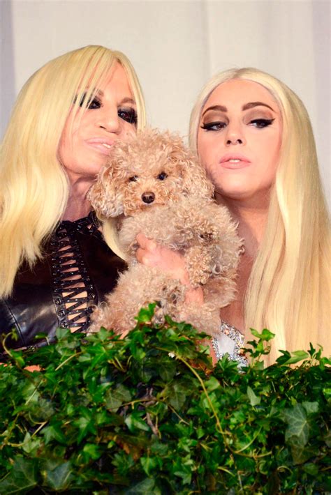 lady gaga versace donatella|recent photos of lady gaga.